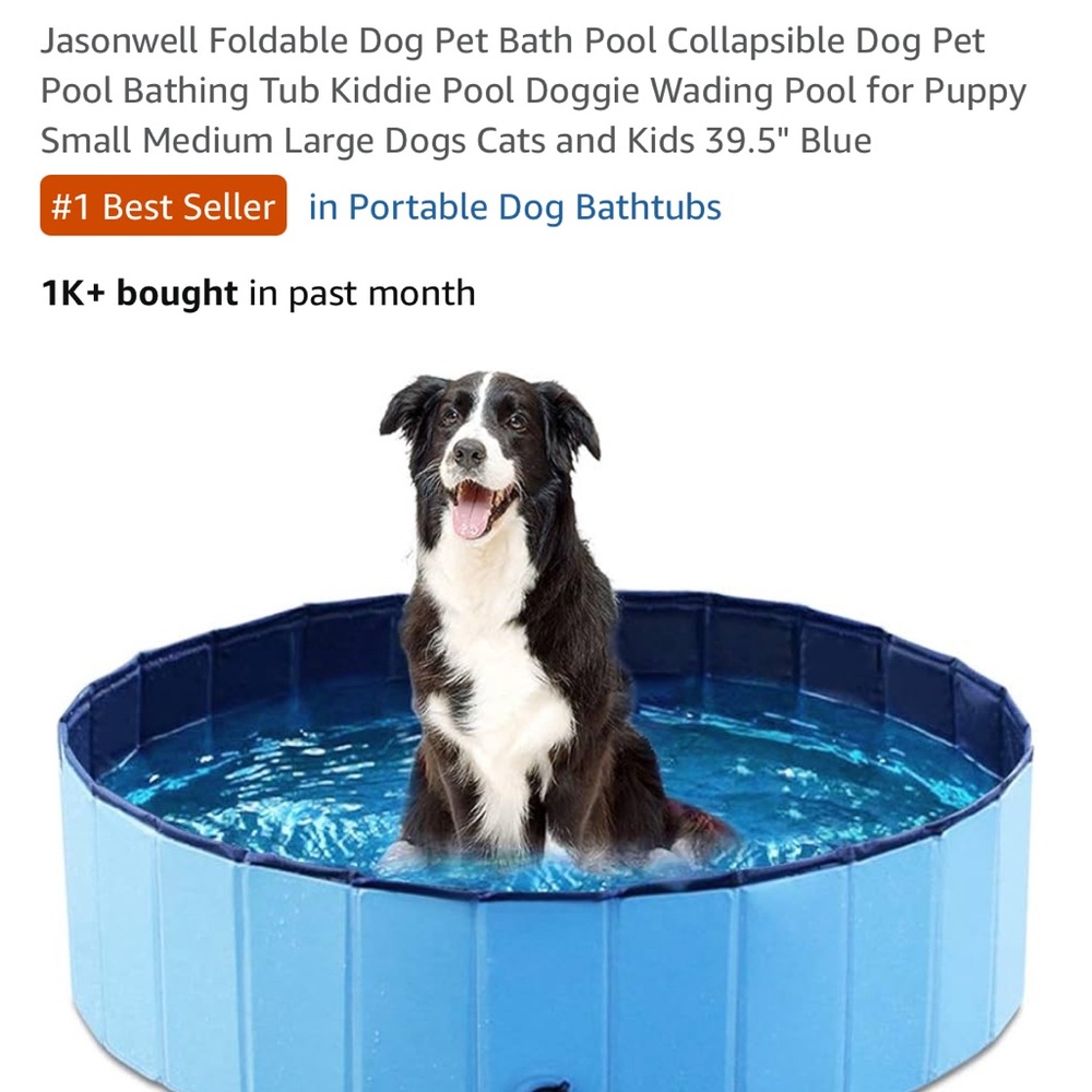 Foldable Kid/Dog Pool - Blue